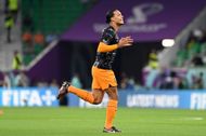 Senegal v Netherlands: Group A - 2022 FIFA World Cup